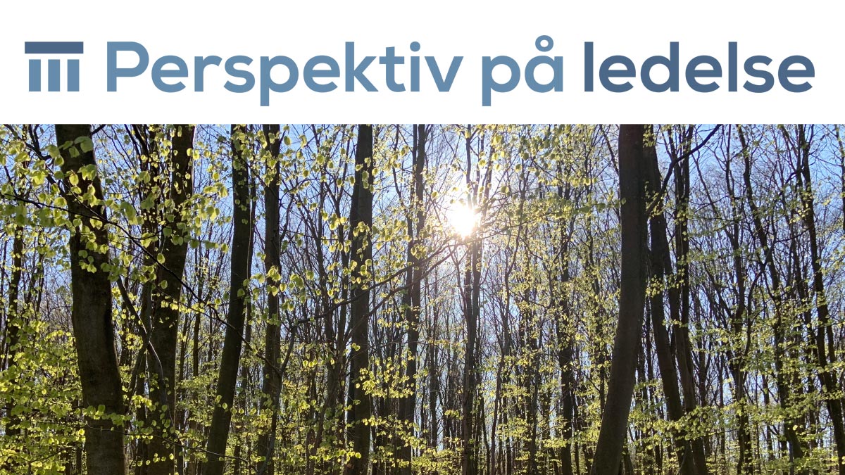 Perspektiv på ledelse logo